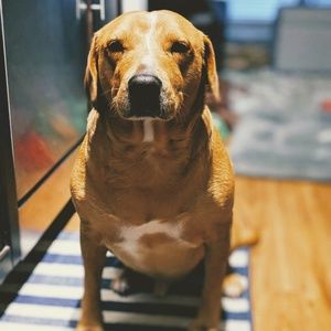 Meet your Posher, Bryant